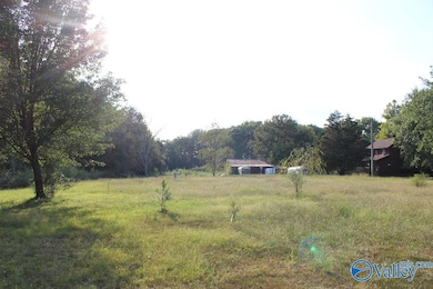 16 Old 431 Hwy, Owens Cross Roads, AL 35763 - photo 5