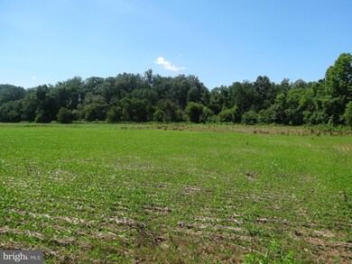 5 Meadow View Ln, Rixeyville, VA 22737 - photo 7