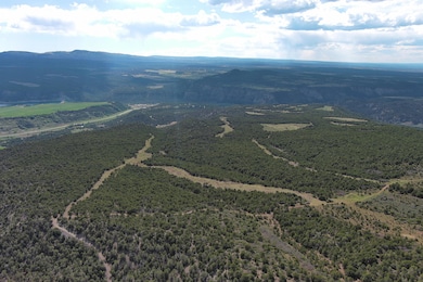 0 County Road 4 unit 43905, Ridgway, CO 81432 - photo 2