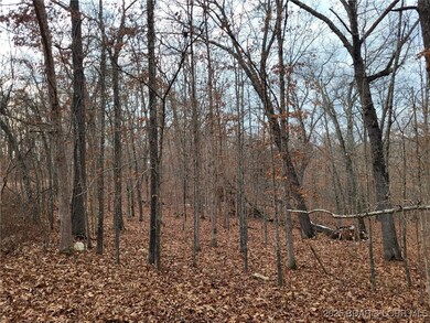 0 Dunn Dr unit Lot 1331, Edwards, MO 65326 - photo 2