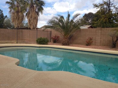 528 E Greentree Dr Chandler AZ 85225 poo