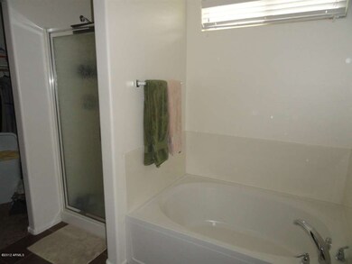 Separate Tub and Shower