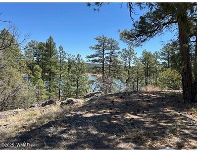 0 Show Low Lake Rd, Show Low, AZ 85901 - photo 2