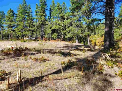 0 Wild Iris Ave unit 752612, Durango, CO 81301 - photo 3