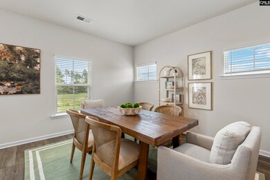 328 S Lake Ct, Lexington, SC 29073 - photo 7