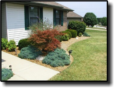 Planter Bed