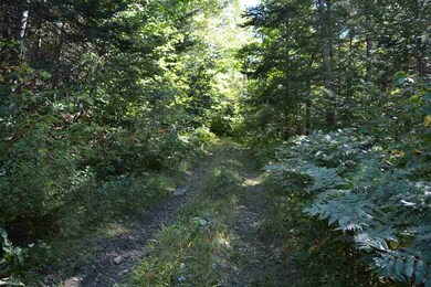 75 Simms Stream Rd, Colebrook, NH 03576 - photo 7