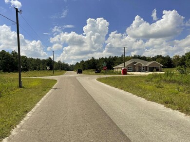 Street scene west on Guava Pass Terrace with the subject to the right