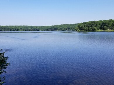 Lot 56 Lakeview Cir, Lackawaxen Township, PA 18428 - photo 6