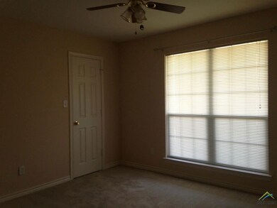 10550 County Road 210, Tyler, TX 75707 - photo 6