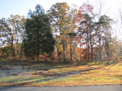View of Lot From Road