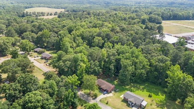 145 Willis Wilder Dr, Forsyth, GA 31029 - photo 6