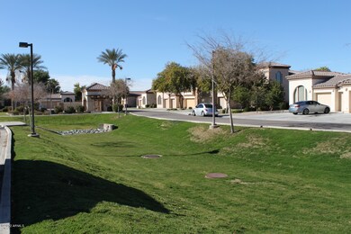 Across from Greenbelt