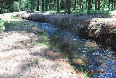 7490 Brett 246 feet of ditch