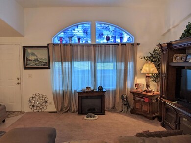 Living Room Window