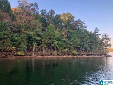 0 County Road 3292 unit 898520, Wedowee, AL 36278 - photo 4