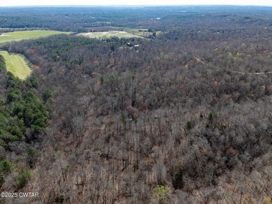 0 Chester Quinn Ln, Parsons, TN 38363 - photo 7