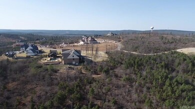 117 Waterview Garden Ln, Roland, AR 72135 - photo 6