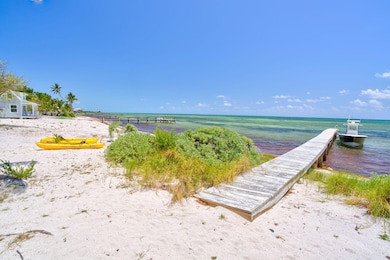 Beach and dock