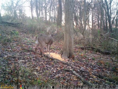 0 Jericho Rd, Glenmont, OH 44628 - photo 5