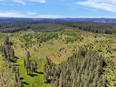 Bird's eye view of a mountain backdrop