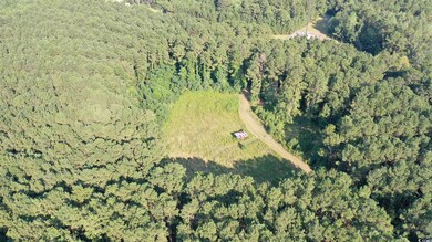 0 Powell Loop, Andrews, SC 29510 - photo 4