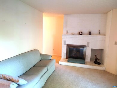 3 Turtle Creek Rd unit 3, Charlottesville, VA 22901 - photo 3