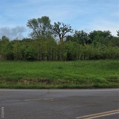 0 State Route Dd unit MAR25027340, Festus, MO 63028 - photo 3