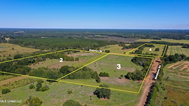 0 Middleton Rd, Flora, MS 39071 - photo 6