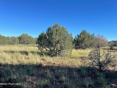 Lot 51a Juniperwood Ranch, Ash Fork, AZ 86046 - photo 2