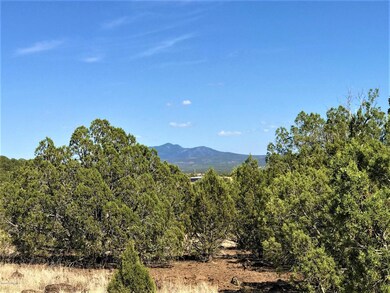 1390 W Joseph Dr, Ash Fork, AZ 86320 - photo 5