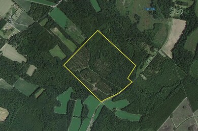 0 S Brewington Rd, Manning, SC 29102 - photo 4