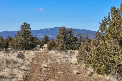 06 Longhorn Ridge Ln._Lot 69_008