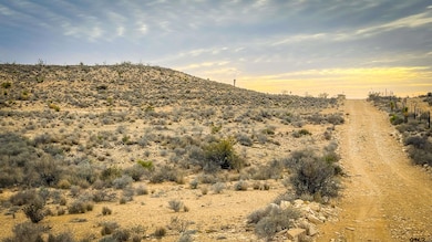 4500, Terlingua, TX 79852 - photo 6