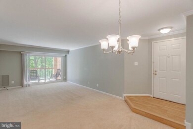 5831 Cove Landing Rd unit 202, Burke, VA 22015 - photo 5