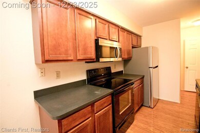 24969 Auburn Ln unit 4, Southfield, MI 48033 - photo 6
