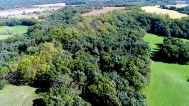 29 AC Legler Rd, Brooklyn, WI 53521 - photo 5