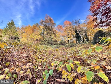 5004 Ingraham St, Riverdale, MD 20737 - photo 6