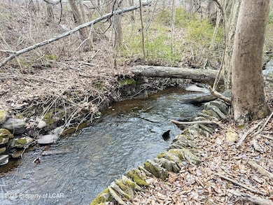 Stream