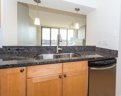 Jefferson Tower unit 1203, Chicago, IL 60661 - photo 6