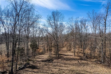 6303 S Bud Miller Rd, Salem, IN 47167 - photo 6