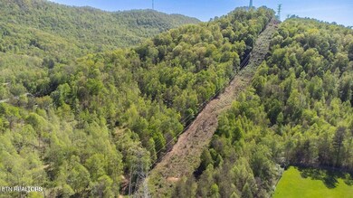 20250211184123342899000000-o