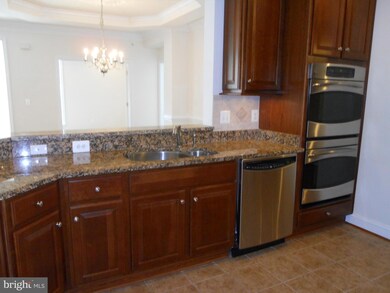 2900 Stone Cliff Dr unit 301, Baltimore, MD 21209 - photo 5