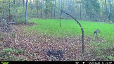 0 Grass Creek Ln, Athens, WI 54411 - photo 2