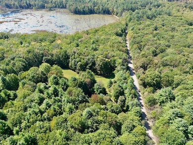 0 Austin Rd unit S1618955, Altmar, NY 13302 - photo 2