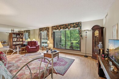 Old Shakopee Park North unit 109, Bloomington, MN 55420 - photo 4