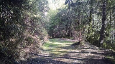 IMG_20160215_142222302