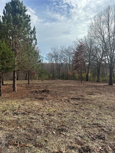 0 Shady Creek Ln unit MIS25078166, Unincorporated, MO 63348 - photo 4