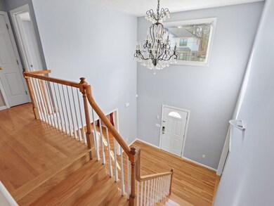 39 Walsh Rd, Newton Center, MA 02459 - photo 4