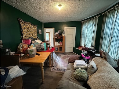 306 E Chestnut St, Lisbon, OH 44432 - photo 4